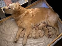 IMG 6404  19.12.25 Passt alles...