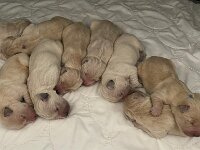 IMG 6407  20.12.25 satt