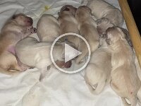 IMG 6411  21.12.25 Mama war da, alles wieder gut...