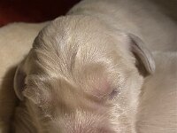 IMG 6428  24.12.25  schlafen und