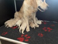 IMG 6467  31.12.25 Milchbar geöffnet