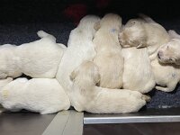 IMG 6475  01.01.26 Ich wünsche euch ein gutes erlebnisreiches 2026 !