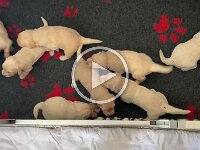 IMG 6485  4.1.26 Die Mobilität wird immer besser, die Wurfbox wird erweitert...