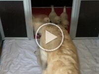 IMG 6494  9.1.26 Sie hören sehen und entwickeln sich super