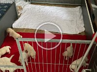 IMG 6501  12.1.26 die ersten Kontaktaufnahmen