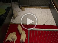 IMG 6507  13.1.26 ein Tag älter doppelt so fit. Wir ziehen um.