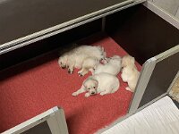 IMG 6510  ganz schön anstrengend