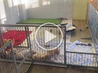 IMG 6515  20.1.26 Wurfbox ist raus