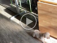 IMG 6521  21.1.26 1. Ausflug mit Kennenlernen von Oma Ashanta und Tante Alisa