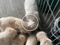 IMG 6526  21.1.26  Wasser schmeckt endlich auch...