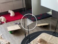 IMG 6527  21.1.26 Spielzimmer eingeweiht