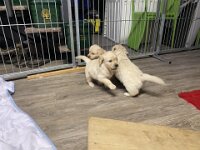 IMG 6529  23.1.26 Sozialkontakt...