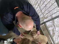 IMG 6560  1.2.26 Besuch war da...