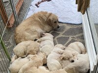 IMG 6562  Fast alle bei Aditi...