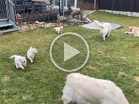 IMG 6564  3.2.26 Guten Morgen Garten-ausflug