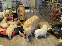 IMG 6572  ...Besuch...