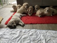 IMG 6581  8.2.26 Alle 9 nach dem Morgenausflug