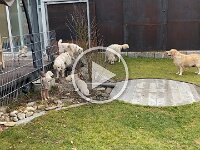 IMG 6589  8.2.26 Neu der Tunnel...