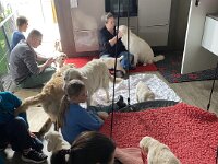 IMG 6593  8.2.26 Besuch war da