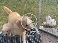 IMG 6602  9.2.26 Die Treppe ist offen zum Üben...