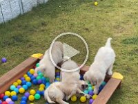 IMG 6611  10.2.26 letzter gemeinsamer Nachmittag