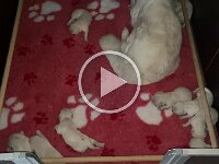 IMG 7111  02.10. Neue Unterlage, wird mit Mama verwechselt...