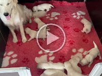 IMG 7137  07.10. schwierig Mama zu finden, wenn die dauernd rumläuft...