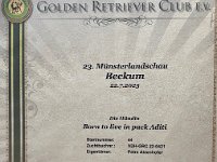 IMG 4892  Ausstellung Beckum